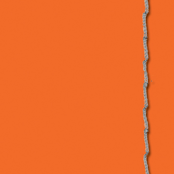 IDO_Leder_CA-orange